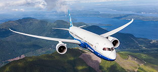 787 in flight